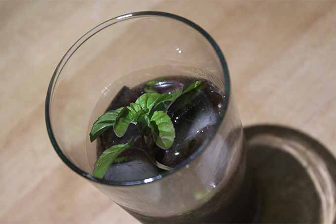 Mint Chocolate Mojito Cocktail | Foodal.com
