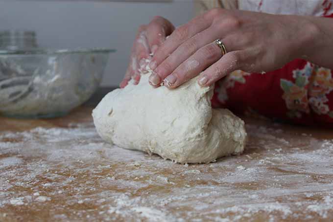 Folding and Kneading Tacky Dough | Foodal.com