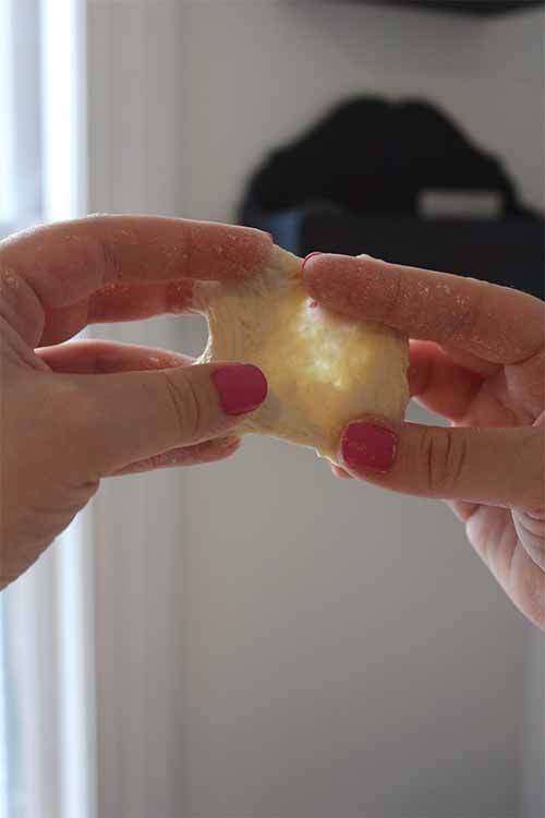 Aprenda a fazer o teste da vidraça para testar a estrutura de glúten da massa de pão e mais sobre a importância do glúten em Foodal: https://foodal.com/knowledge/baking/kneading-dough/ 