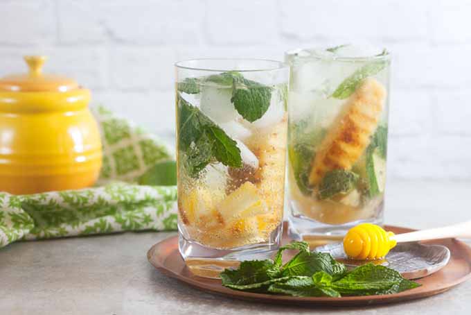 grilled-pineapple-mojito