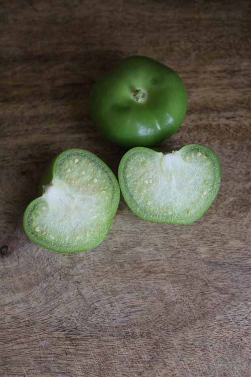 Add the bright green hue and tangy flavor of tomatillos to your next batch of cocktails. Whip up a batch of Tomatillo-jitos! Get the recipe on Foodal: https://foodal.com/drinks-2/alcoholic-beverages/tomatillo-mojito/
