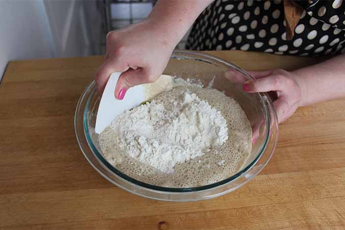 Mixing Flour, Yeast, and Water | Foodal.com