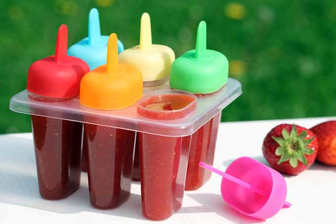 Multi-Colored Homemade Popsicle Mold | Foodal.com