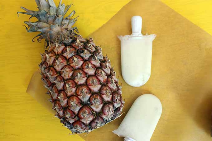 Pineapple Popsicles with Pineapple | Foodal.com