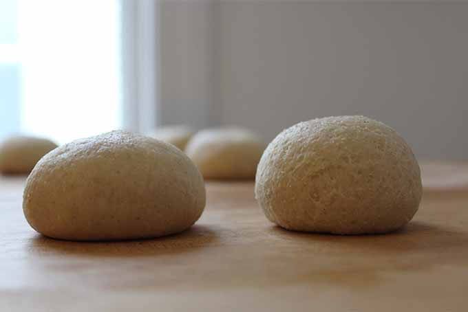 Left: poorly shaped dough with poor gluten formation. Right: well shaped with good gluten formation.