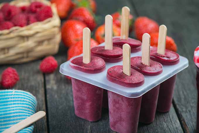 Popsicle Mold with Blueberry Popsicles | Foodal.com