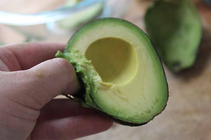 Remove Avocado From Peel | Foodal.com