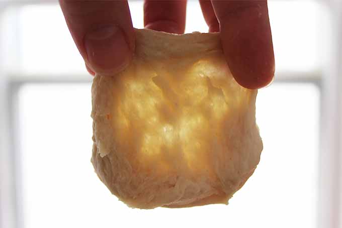 Bread Dough Windowpane Test | Foodal.com