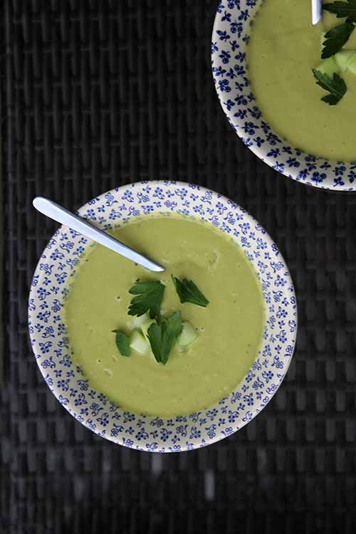 Chill out with our delicious, creamy Avocado Coconut soup. Give it a try! https://foodal.com/recipes/soups/chilled-avocado-coconut-soup/