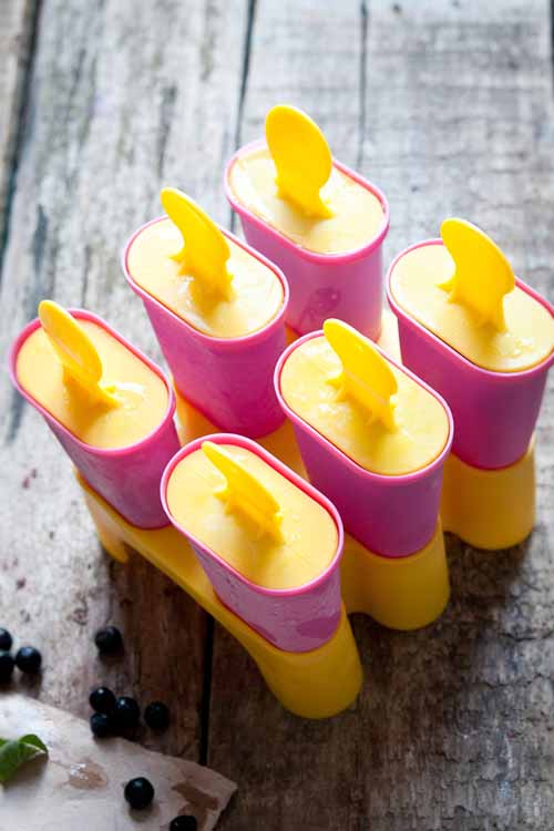 Looking for the best popsicle molds on the market? We’ve reviewed the very best in freeze-pop making, giving you those sticky treats that melt - so you don't! Right here at Foodal: https://foodal.com/kitchen/kitchen-appliances/ice-cream-makers/popsicle-molds/