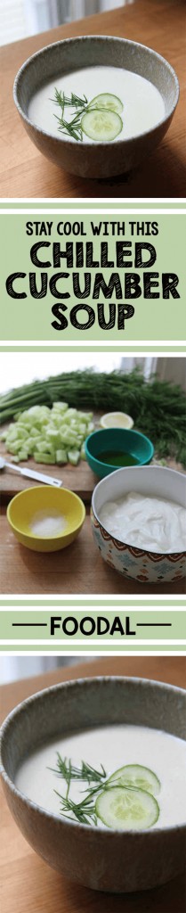Nothing cools you down on a warm day like a nice chilled soup. This cucumber and yogurt version is particularly refreshing. Fresh dill and bright lemon juice add vibrant character to the dish. It is so simple to throw together – there's no need to labor in a hot kitchen! Go ahead, give it a try today. https://foodal.com/recipes/soups/chilled-cucumber-soup/
