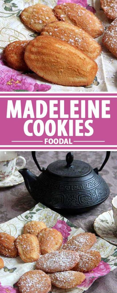 Looking for that exquisite taste and spongy, crumb free texture that only a madeleine cookie can fill? Try this recipe. It's the classic and simplest form. A French original that's super simple to make make. Get the recipe on Foodal now.