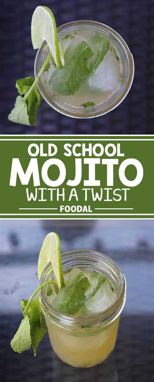 No matter how you mix it, we love a refreshing mojito. But sometimes the classic Cuban style is all you need to hit the spot. Hate it when your minty, delicious mojito becomes watery and unappealing on a hot day? Learn how to avoid this with one simple trick. If you want the perfect chilled cocktail that never gets watered down by ice, then give this method a try! Try it now.