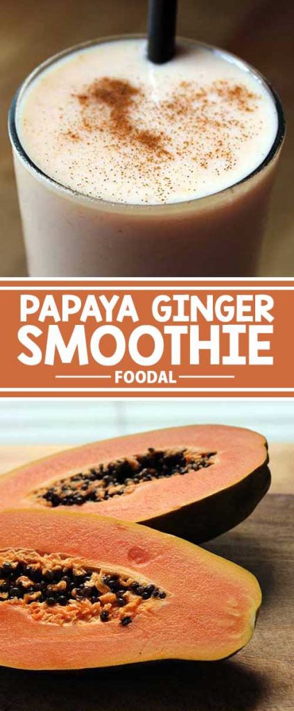 Looking for a refreshing and spicy drink that is also healthy? We have a delicious papaya ginger smoothie recipe right here at Foodal. It is easy to make, without an abundance of ingredients. Get the recipe now!