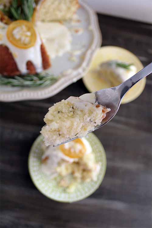Craving a bite of cake? This one's made with fresh lemon and rosemary, and topped with a tangy goat cheese frosting that you're sure to adore. Here's the recipe: https://foodal.com/recipes/desserts/rosemary-lemon-bundt-cake/