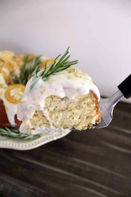 Say goodbye to boring dessert- it's time for a new flavor pairing! This lemon bundt cake isn't too sweet, with the tart flavor of fresh lemon, herbal notes from the rosemary-infused syrup and batter, and a tangy goat cheese frosting. Get the recipe: https://foodal.com/recipes/desserts/rosemary-lemon-bundt-cake/
