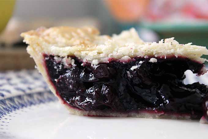 White Balsamic Black Cherry Pie | Foodal.com