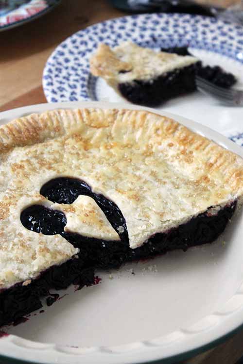 Vents are cut into the top crust of a pie to give the steam that builds up while it bakes a way to escape - we'll show you how to cut decorative cherry-themed vents in our White Balsamic Cherry Pie recipe: https://foodal.com/recipes/desserts/white-balsamic-cherry-pie/