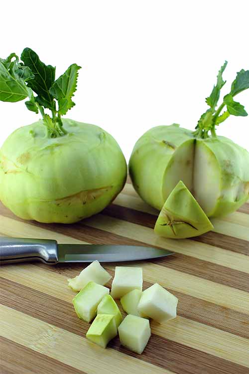 Looking for a new vegetable to round out tonight's meal? Kohlrabi is the answer! This member of the cabbage family offers a fresh flavor, healthy nutrients and a satisfying crunch. Learn more about how to pick, prep, store, and enjoy it here: https://foodal.com/knowledge/paleo/kohlrabi-storing-using/