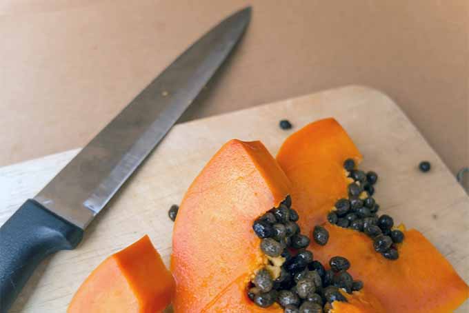 Slicing Papaya | Foodal.com