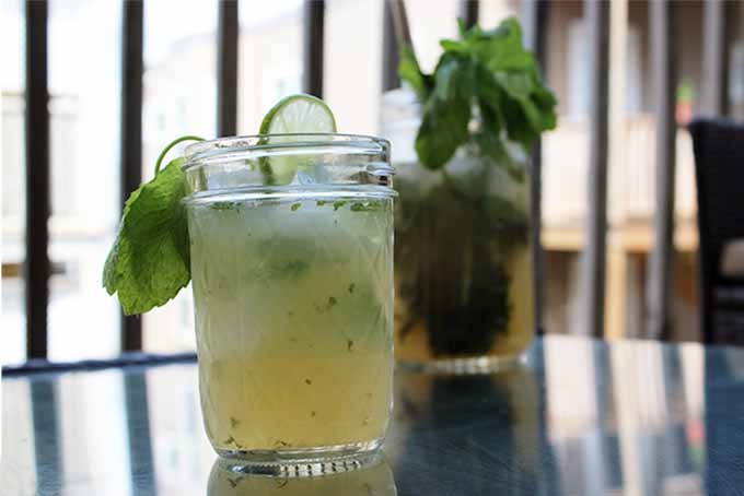 Mojito Cocktail with Mint-Lime Ice | Foodal.com