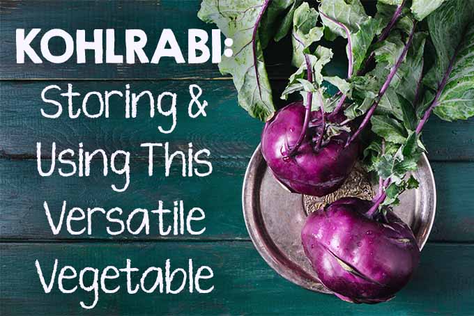 Learn to Prep, Store, & Cook Kohlrabi | Foodal.com