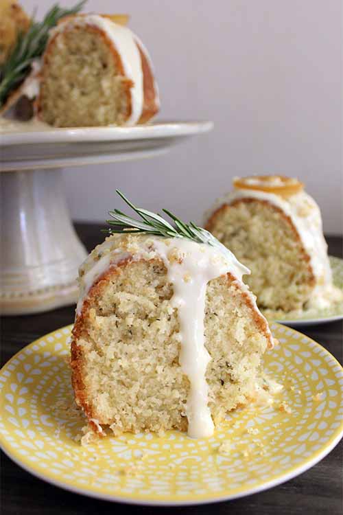 Make this rosemary lemon bundt cake with goat cheese frosting for your next birthday, bridal shower, or dinner party, and it's sure to be a crowd-pleaser! https://foodal.com/recipes/desserts/rosemary-lemon-bundt-cake/