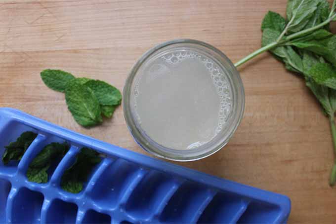 Making Mint-Lime Ice Cubes | Foodal.com