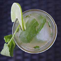 Mojito with Mint-Lime Ice Recipe | Foodal.com