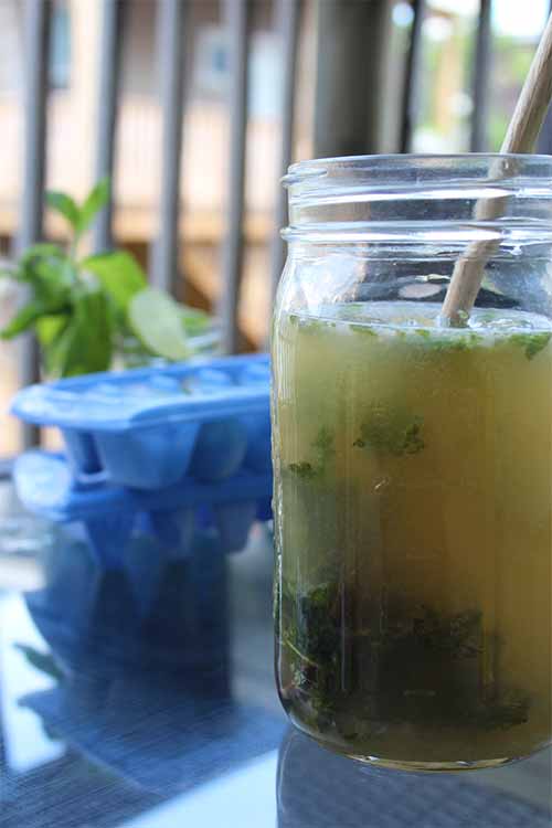 Sometimes the classic Cuban style mojito is all you need to hit the spot. Get the recipe now on Foodal: https://foodal.com/drinks-2/alcoholic-beverages/mojito-mint-lime-ice-tea/ ‎