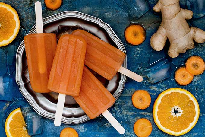 Orange Carrot Ginger Paletas | Foodal.com