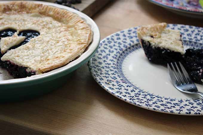 White Balsamic Cherry Pie with Plated Slice | Foodal.com