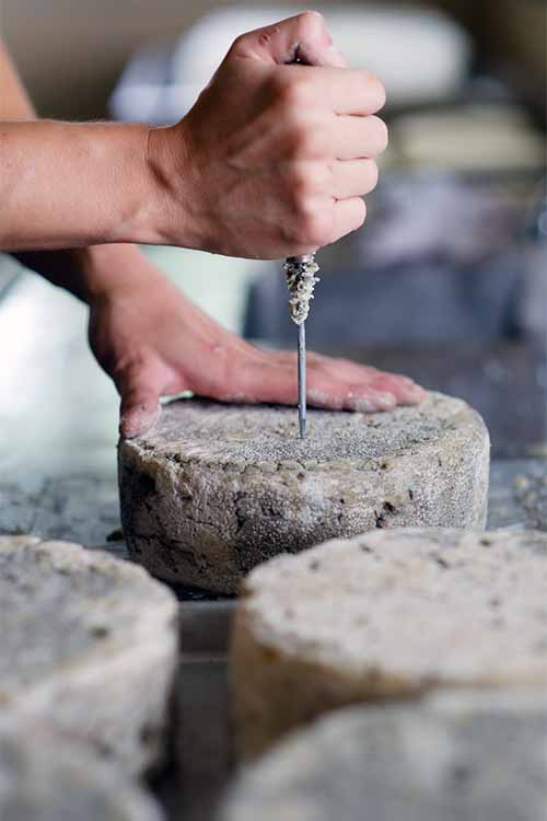 Love cheese? Learn lessons about how it's made from an expert cheesemaker, and how you can apply these techniques in your own kitchen: https://foodal.com/knowledge/paleo/7-lessons-learned-from-cheesemaker/
