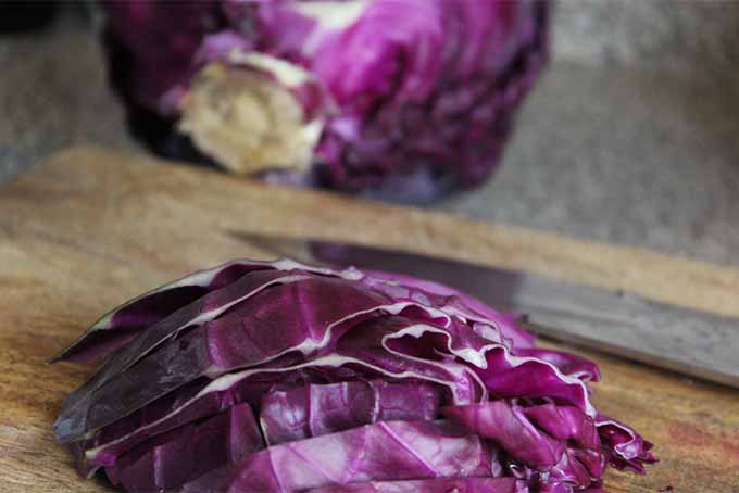 Prepping Red Cabbage | Foodal.com