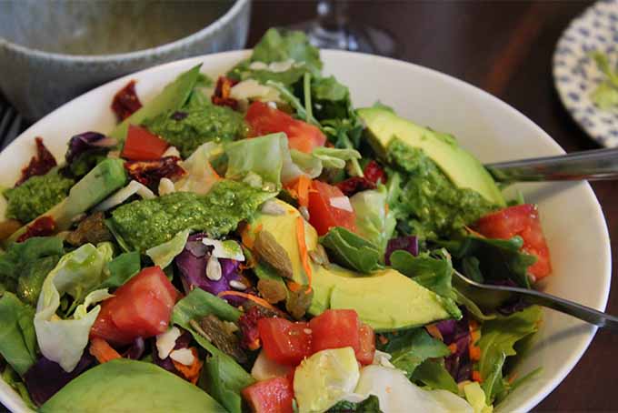 Make This Savory Raw Salad with Pesto | Foodal.com