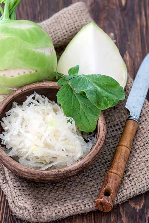 Sliced, chopped, or shredded, kohlrabi can add flavor and crunch to a variety of dishes. Learn more: https://foodal.com/knowledge/paleo/kohlrabi-storing-using/