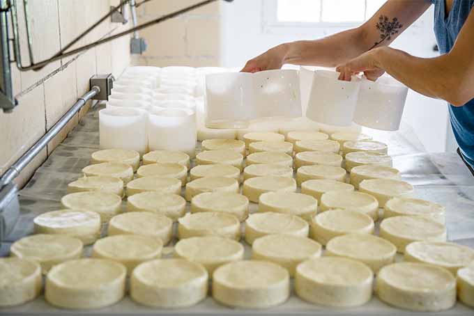 Removing Cheese Wheels from Hoops | Foodal.com