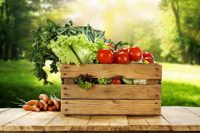 Fresh Vegetables for word at-home freelancers | Foodal.com