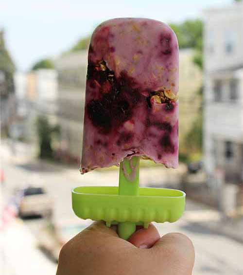 Blueberry Yogurt Popsicle Recipe | Foodal.com