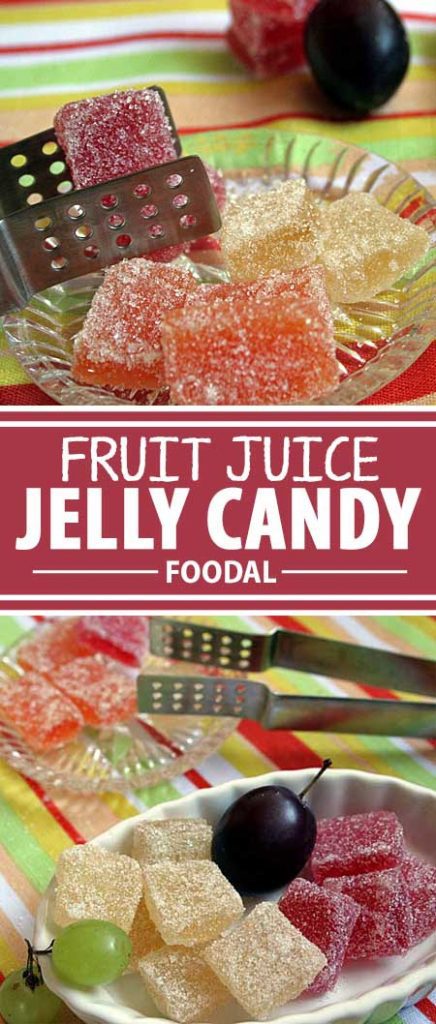 Looking for an all natural and healthy replacement for gumdrops and jellybeans? Try this candy made from fresh fruit juice. Flavored with all natural ingredients, it's a heck of a lot better for you than store bought versions. Beautifully Tasty. Get the recipe on Foodal now!