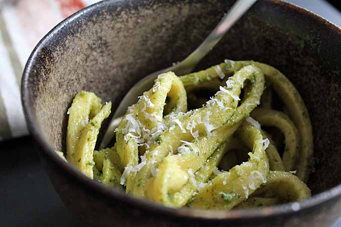 Recipe for Lemon Basil Pesto Sauce | Foodal.com