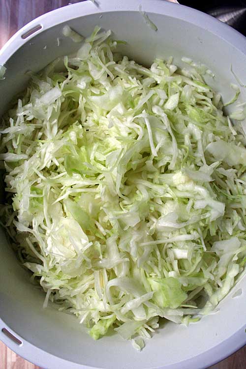 Step 1b of the Bavarian Cabbage Salad Recipe - Shredding | Foodal.com