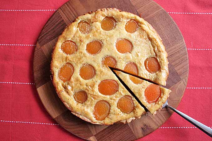 The Best German Apricot Tart Recipe | Foodal.com