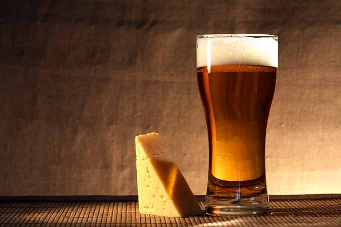 Beer and Cheese Pairing Cover| Foodal.com