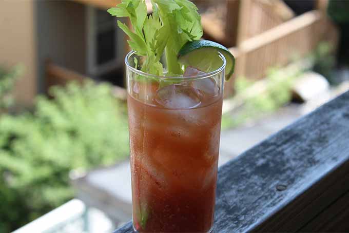 Hot Pepper-Infused Vodka Bloody Mary | Foodal.com