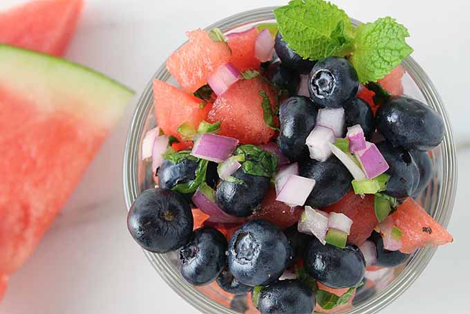 Blueberry Watermelon Salsa