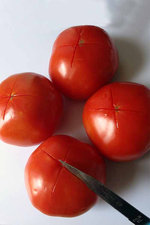 We share the best tips for getting the most out of fresh tomatoes, lengthening their shelf life and preserving their delicious, sweet, and earthy flavor. Read more: https://foodal.com/knowledge/how-to/store-fresh-tomatoes/