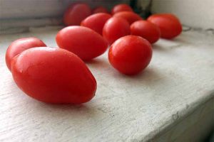 How to Store Fresh Tomatoes