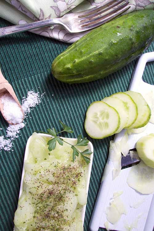 With so much variety in mandoline prices and styles, finding the safest slicer can be a chore. But we've done the research so you don't have to. Slice off a bit of knowledge at https://foodal.com/kitchen/knives-cutting-boards-kitchen-shears/mandoline-slicer/