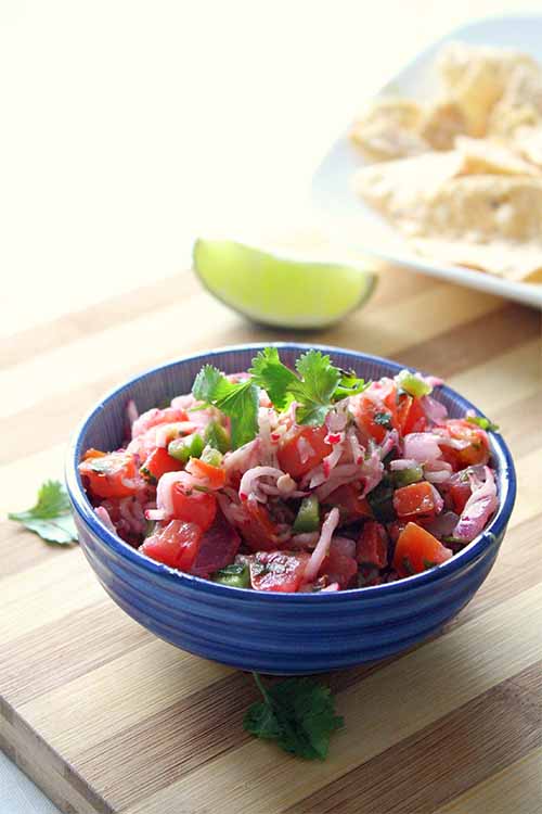 We share the secrets to awesome salsa, with links to recipes from our favorite bloggers: https://foodal.com/recipes/sauces/favorite-salsa-recipes/